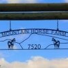 Отель Mountain Horse Farm, фото 21