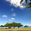 Отель Honokowai Palms #a-7 1 Bedroom Condo by RedAwning, фото 8