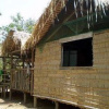Отель Manaus Jungle Hostel, фото 5