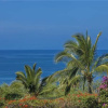 Отель Maui Kamaole E-101 - 1 Br Condo, фото 15