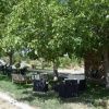 Отель Agriturismo Su Pinnettu, фото 5
