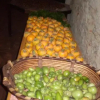 Отель Locanda Montegiovi B&B, фото 6