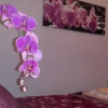 Отель B&B Interno 8, фото 5