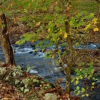 Отель Jon's Pond on Cosby Creek - 2 Br Cabin, фото 9