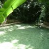 Отель Pousada Jardim da Amazônia, фото 3