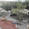 Отель Zimmer Dora Neve Zohar Dead Sea Guest House, фото 8
