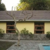 Отель Rumah Teras Yogyakarta, фото 7
