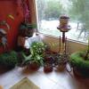 Отель Los Calafates B&B, фото 9