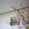 Отель Peanut Hotel, фото 12