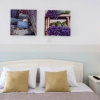 Отель Perivoli Rooms & Apartments, фото 4