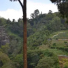 Отель Chamodya Home Stay, фото 6