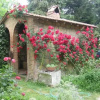 Отель Agriturismo Montepereto, фото 6