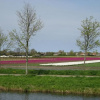 Отель B&B Janny - Medemblik, фото 2