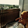 Отель Shui Young B&B, фото 12