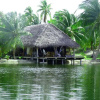 Отель Aotera Guest House, фото 10