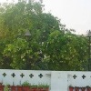 Отель Delhi Bed and Breakfast - India, фото 5