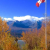 Отель Kluane Green Sprout Vacation Home, фото 5