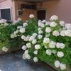 Отель B&B Laura, фото 8