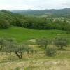 Отель Agriturismo Il Podere, фото 4