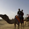Отель Camel Safari Dunes Camp, фото 11