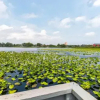 Отель Lullwater Drive 301 C-423 - 2 Br condo by RedAwning, фото 11