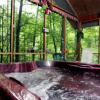 Отель Creekside Memories Gatlinburg - 2 Br Cabin, фото 7
