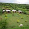 Отель Finca Joco Mico - Nicaragua Farmstay and Adventures, фото 6