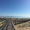 Отель Apartamentos Arenales Del Sol II, фото 9