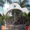Отель Delphinus Inn, фото 10