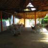 Отель Eco Resort La Iguana, фото 6