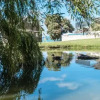 Отель Waiheke Waters Edge, фото 11