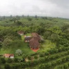 Отель Hacienda El Saman, фото 9
