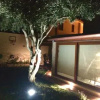 Отель B&B Ateneo, фото 7