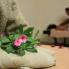 Отель Haile Hotel Shashemene, фото 11