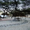 Отель Playaca Beach, фото 10