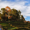 Отель Posada Del Inca Lodge, фото 6
