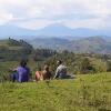 Отель Bwindi Hostel/Backpackers Lodge, фото 7