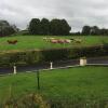 Отель Bunratty View, фото 4