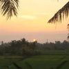 Отель Uma Capung Mas Cottage, фото 9