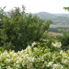 Отель Agriturismo La Torraccia, фото 8
