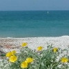 Отель Matrioska B&B, фото 9