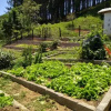 Отель Fazenda Moinho Dagua, фото 7