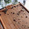 Отель Maolin Dee Gorge Rukai Ecological Homestay, фото 1