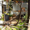 Отель Duplex Alameda, фото 9
