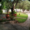 Отель Olive House, фото 3