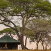 Отель Corfield Camp Tarangire, фото 8