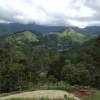 Отель Pousada Recanto Marioca, фото 4