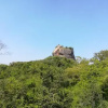 Отель Oshani Homestay Sigiriya, фото 8