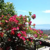 Отель Villa Amanti, фото 3