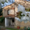 Отель Podere Pinzicalari, фото 1